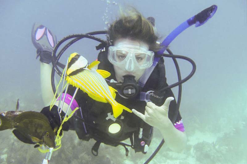 Sampling for fish using Hawaiian sling (Porkfish)