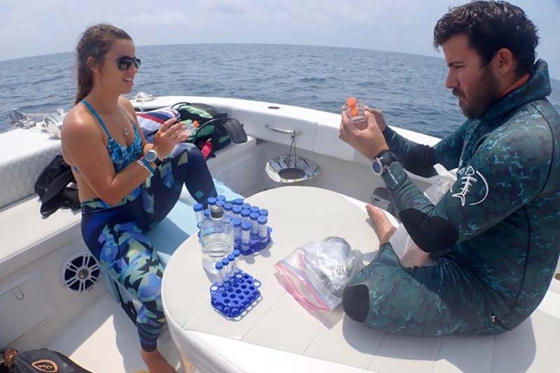 Processing samples after collection in the Florida Keys.