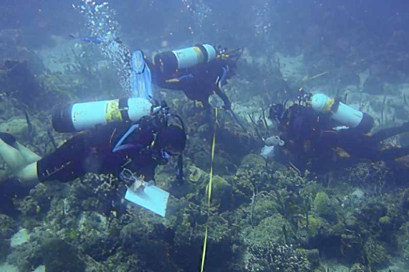 Diving at UVI Site