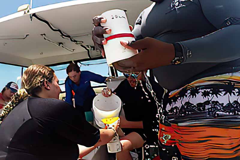 Processing Samples on Boat After Diving at UVI Site