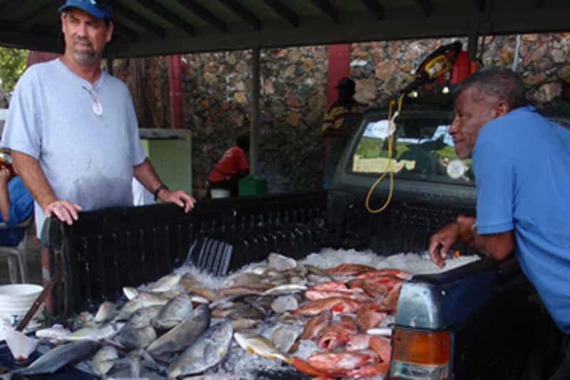 Fresh off the boat in the Virgin Islands